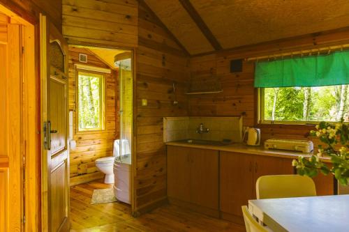 a kitchen with a sink and a toilet in a cabin at Surf Domki Habenda in Sarbsk