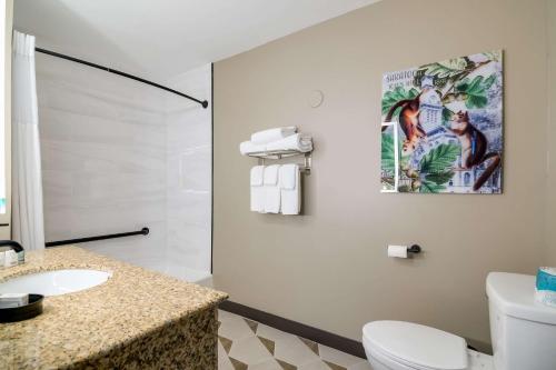 a bathroom with a toilet and a sink at The Hotel Saratoga, an Ascend Collection Hotel in Saratoga Springs