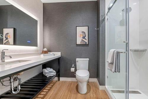 uma casa de banho com um WC, um lavatório e um chuveiro em Cambria Hotel Burbank Airport em Burbank