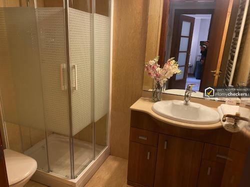a bathroom with a shower and a sink at Apartamento Cervantes Centro Historico in Salamanca