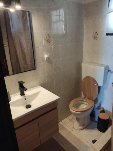 ein Badezimmer mit einem WC, einem Waschbecken und einem Spiegel in der Unterkunft Chris Corner in Vasiliká