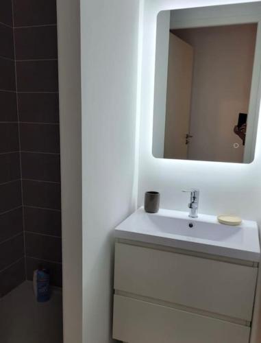 une salle de bain avec un lavabo blanc et un miroir dans l'établissement Maison familiale et cosy - Entre lac et montagne, à Doussard