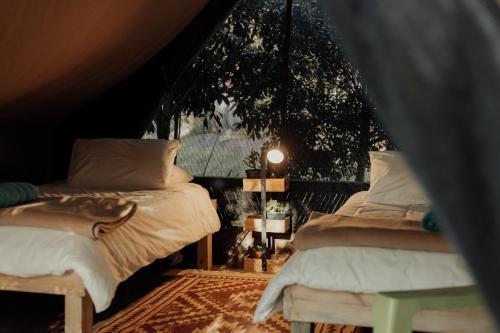 two beds in a room with a window at Firefly Falls in Plettenberg Bay