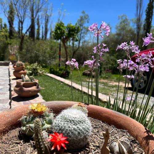 Giardino di Tierra Primitiva