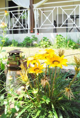 Jardin de l'établissement Port Rooms Pet Friendly