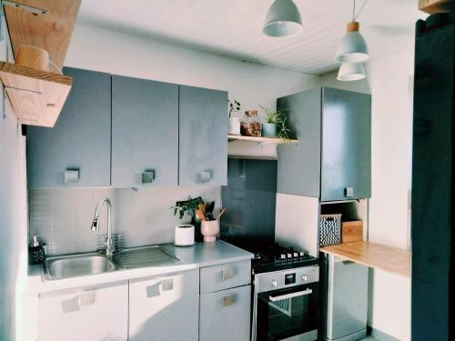 une cuisine avec des armoires bleues et un évier dans l'établissement MAISON ATYPIQUE EN BOIS 2 NIVEAUX 7,5km du circuit 24h, au Mans