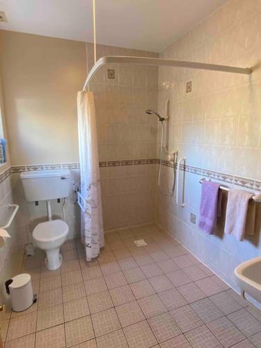 a bathroom with a shower and a toilet and a sink at Derryvree Farm Cottage in Maguires Bridge
