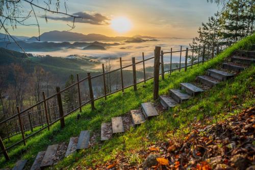 a set of stairs leading up a hill with the sun setting in the background at Posest Kunigunda in Šmartno v Rožni Dolini
