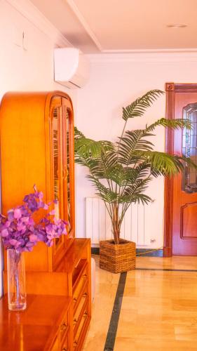 a room with a dresser and a potted plant at Villa Luis R in Cájar
