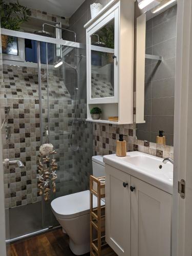 a bathroom with a toilet and a sink and a shower at La Mimosa in Puentedeume