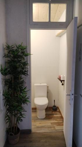 une salle de bain avec toilettes et une plante en pot dans l'établissement Chez Célia, à Laruns
