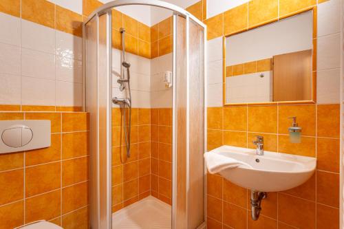 a bathroom with a shower and a sink at Houda Bouda - Penzion & Apartmány in Boží Dar