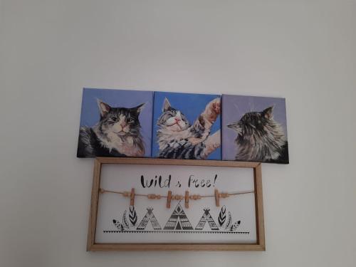 a group of four cats picture frames on a wall at Apartament GALERIA in Nysa