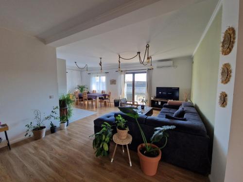uma sala de estar com um sofá azul e vasos de plantas em Che Private Rooms Banovci em Novi Banovci