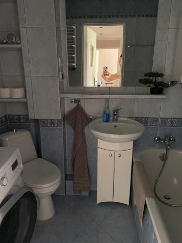 a bathroom with a sink toilet and a mirror at Apartament w Zdroju in Duszniki Zdrój