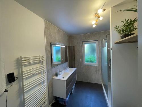 une salle de bain avec un lavabo et un miroir dans l'établissement Appartement 3 chambres 50m de la mer, à Pléneuf-Val-André