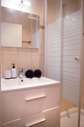 une salle de bain avec un lavabo blanc et une douche dans l'établissement L'évasion urbaine à la citadelle, à Chalon-sur-Saône