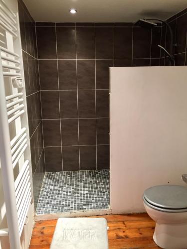 une salle de bain avec douche et toilettes dans l'établissement La Capucine, à Cavaillon