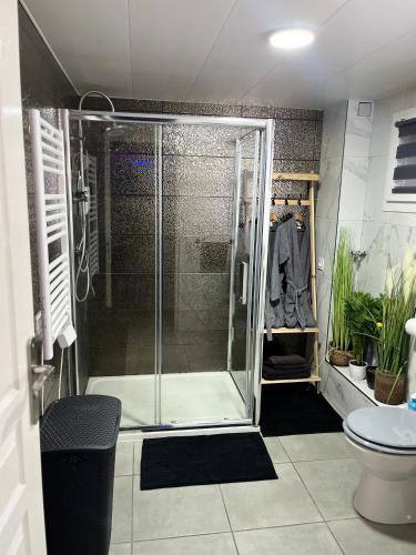 une douche avec une porte vitrée dans une salle de bain dans l'établissement GALAXY SPA - Suite Mercure Jacuzzi Privatif, à Champigneulles