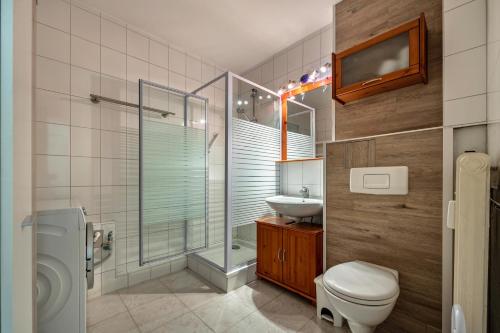 ein Badezimmer mit Toilette, Waschbecken und Dusche in der Unterkunft Harzburg Stube in Bad Harzburg