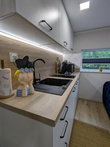 Kuchyň nebo kuchyňský kout v ubytování Hausboot Lena