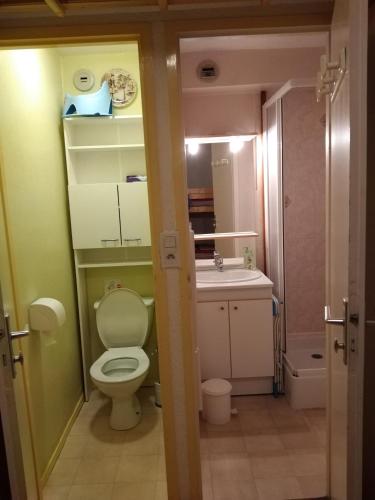une petite salle de bain avec toilettes et lavabo dans l'établissement Studio Cabine, plein centre de Valloire, à Valloire