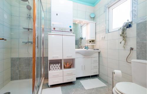 a bathroom with a shower and a sink and a toilet at Pet Friendly Home In Popovaca With Kitchen in Popovača
