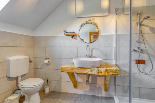 a bathroom with a sink and a toilet and a mirror at Bajsova domačija in Podčetrtek
