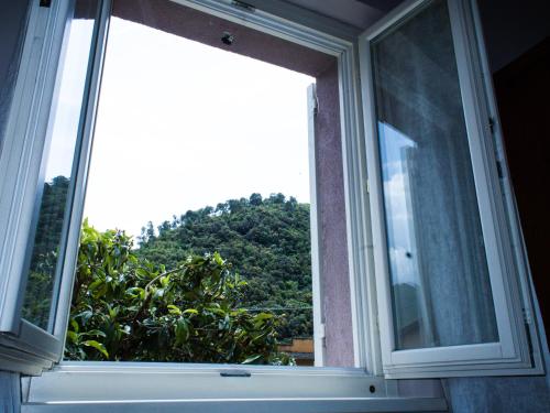 an open window with a view of a tree at La Magnolia come a casa tua in Arrone