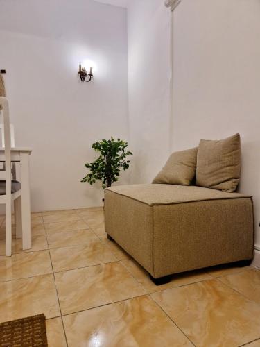 a couch sitting in a living room with a plant at Tranquil Condo in Zamalek in Cairo