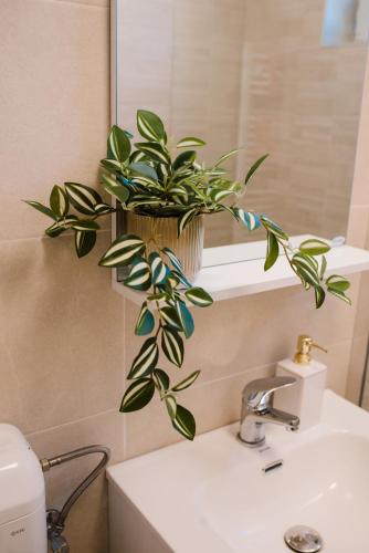 a potted plant sitting on top of a bathroom sink at Central White Apartment in Satu Mare