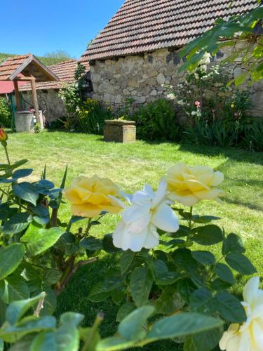 a group of yellow and white flowers in a yard at Kánya Veranda in Szomolya
