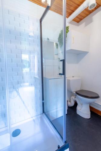 une salle de bain avec une douche en verre et des toilettes dans l'établissement La Rosée - Studio Campagne à 50m des Thermes - Vue jardin, Wifi, Smart TV, à Bourbonne-les-Bains