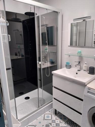 une salle de bain avec douche et lavabo dans l'établissement F2 La Corniche 