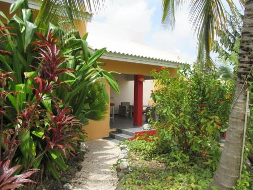a view of the front of a house with plants at Don Genaro Apartments in Barber