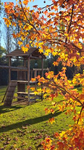 a gazebo in a park with autumn leaves at Posada del Santo Green & Rest - Cabañas in Salta