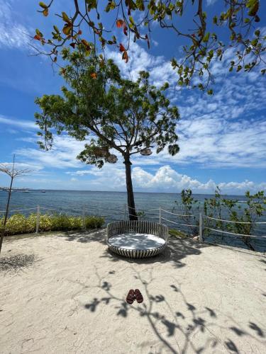 a tree sitting on the sand next to the ocean at Condo with Private Beach at Tambuli Beach Resort near Airport in Cebu in Lapu Lapu City