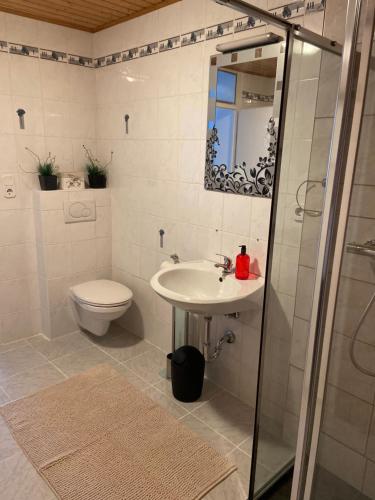 Bilik mandi di 2Z-Ferienwohnung, umgeben vom Spessart & Main
