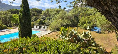 een huis met een zwembad en bomen bij Hotel Cala di l'Oru in LʼÎle-Rousse