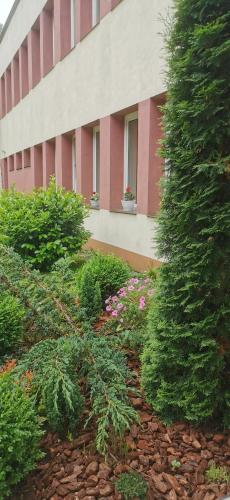 a building with bushes and flowers in front of a building at Penzion Zornicka in Bardejovské Kúpele