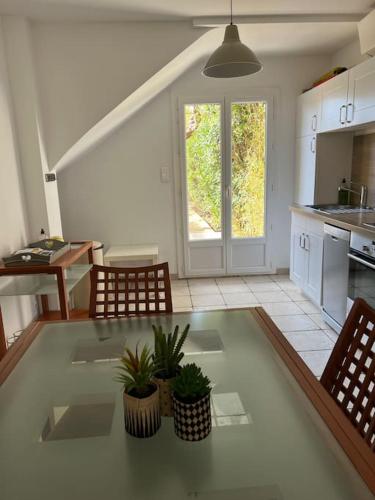 une cuisine avec deux chaises et une table avec des plantes dans l'établissement Maison de Pêcheurs - cœur du Brusc 250 m de la mer, à Six-Fours-les-Plages