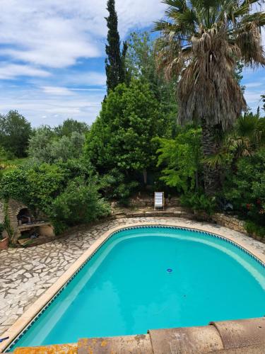 une piscine dans une cour avec un palmier dans l'établissement Romantische Bauernhofvilla inmitten der Weinberge, à Salles-d'Aude