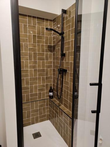 une salle de bain avec une douche avec une porte vitrée dans l'établissement Studio Vannes - centre-ville et parking, à Vannes