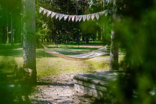 a hammock in the middle of a park at Coastal Cabin Engure in Engure