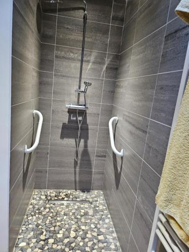 La salle de bains est pourvue d'une douche et d'un sol en pierre. dans l'établissement T3 avec vue sur les Alpes, à Vienne