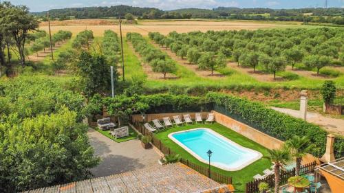 an overhead view of a swimming pool in a garden at Majordoms - Ca l'Esclop, Alt Empordà in Girona