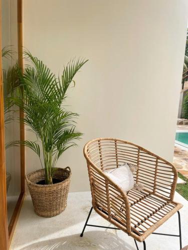a rattan chair sitting next to a potted plant at Meraki in Polhena