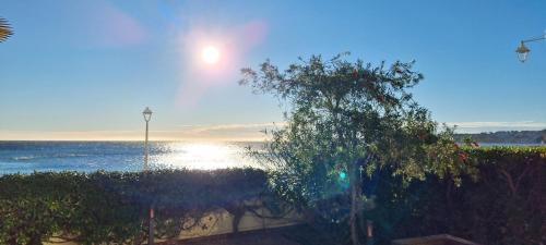 une vue sur l'océan avec un arbre et le soleil dans l'établissement Unique Appartement-villa, Palm Beach - Croisette - Front de mer, à Cannes