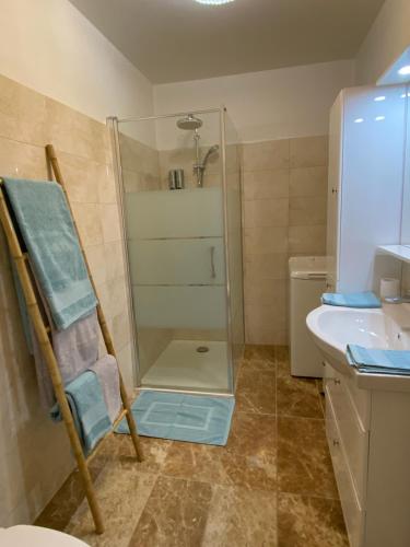 une salle de bain avec une douche en verre et un lavabo dans l'établissement Cannes centre Lou Souquetan, à Cannes