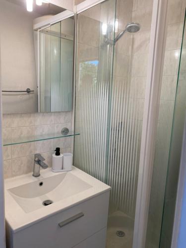 une salle de bain avec un lavabo et une douche en verre dans l'établissement Haut de jardin dans une maison, à Dijon